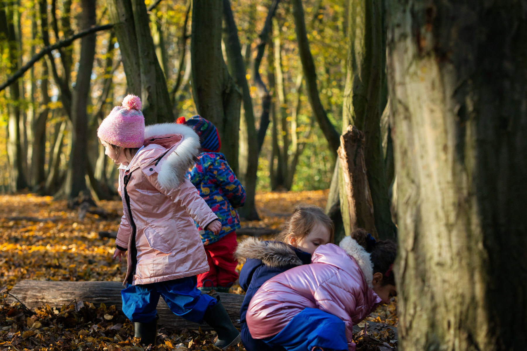 Committee Responsibilities - Eden Primary School